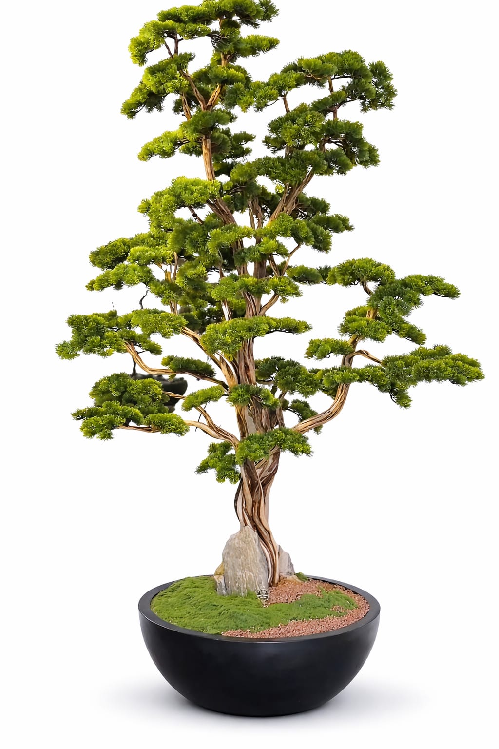 Yapay Bonsai Ağaç