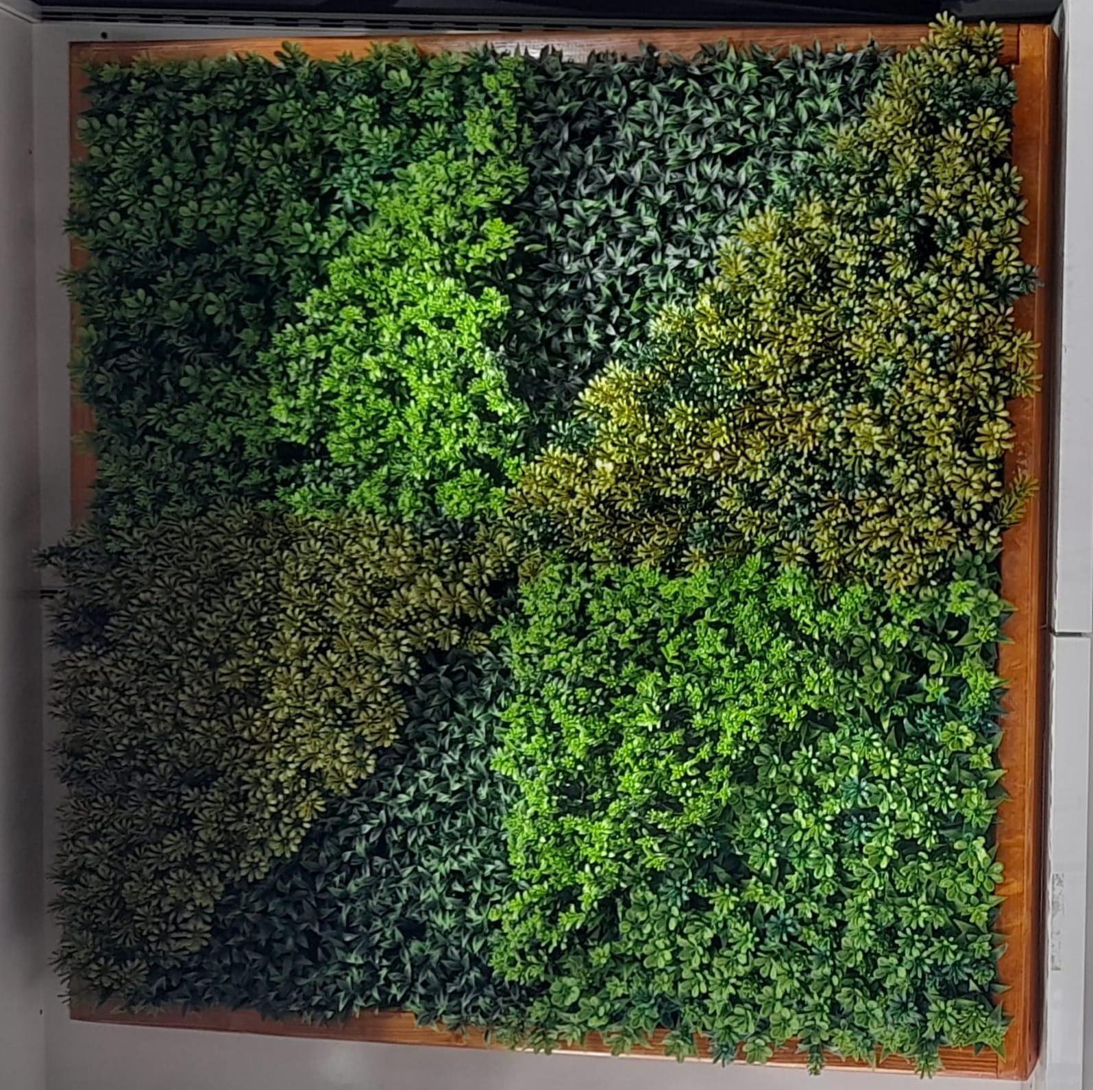 Yapay Duvar Uygulama & Yeşil Duvar